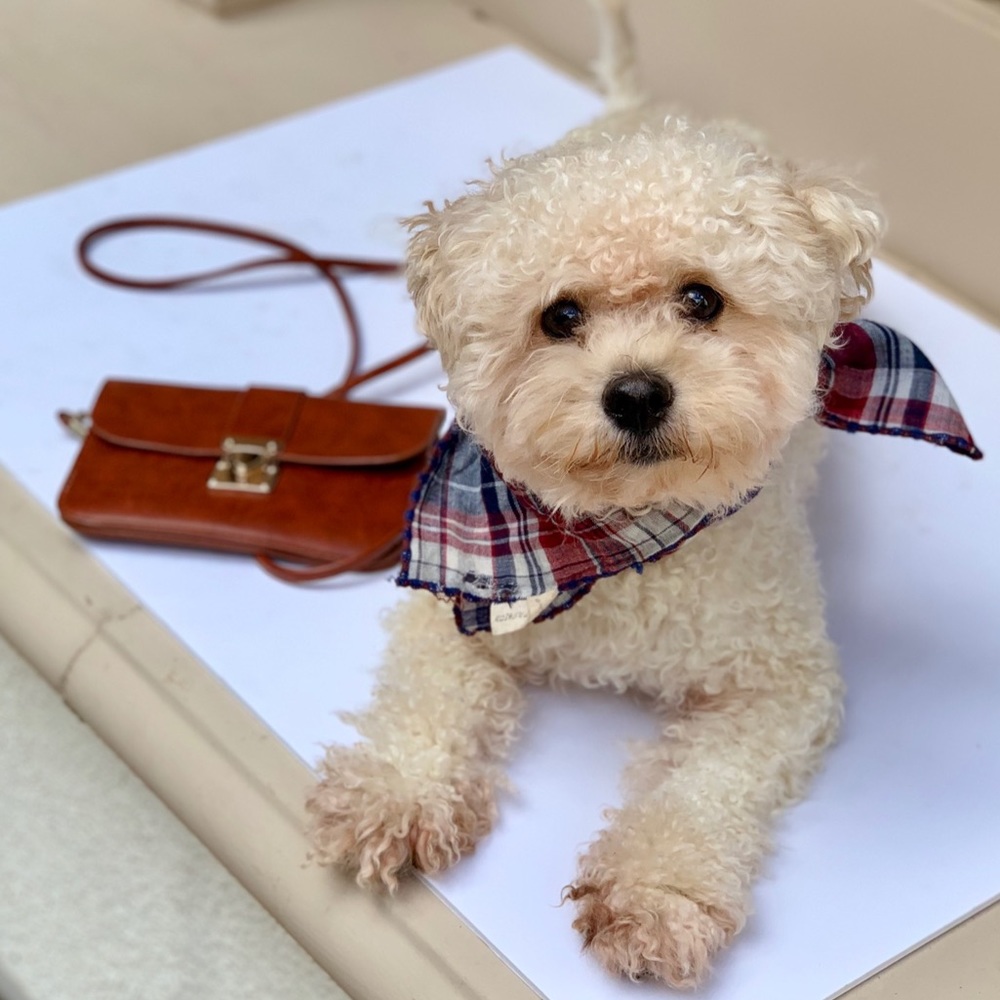 Basic crossbody purse